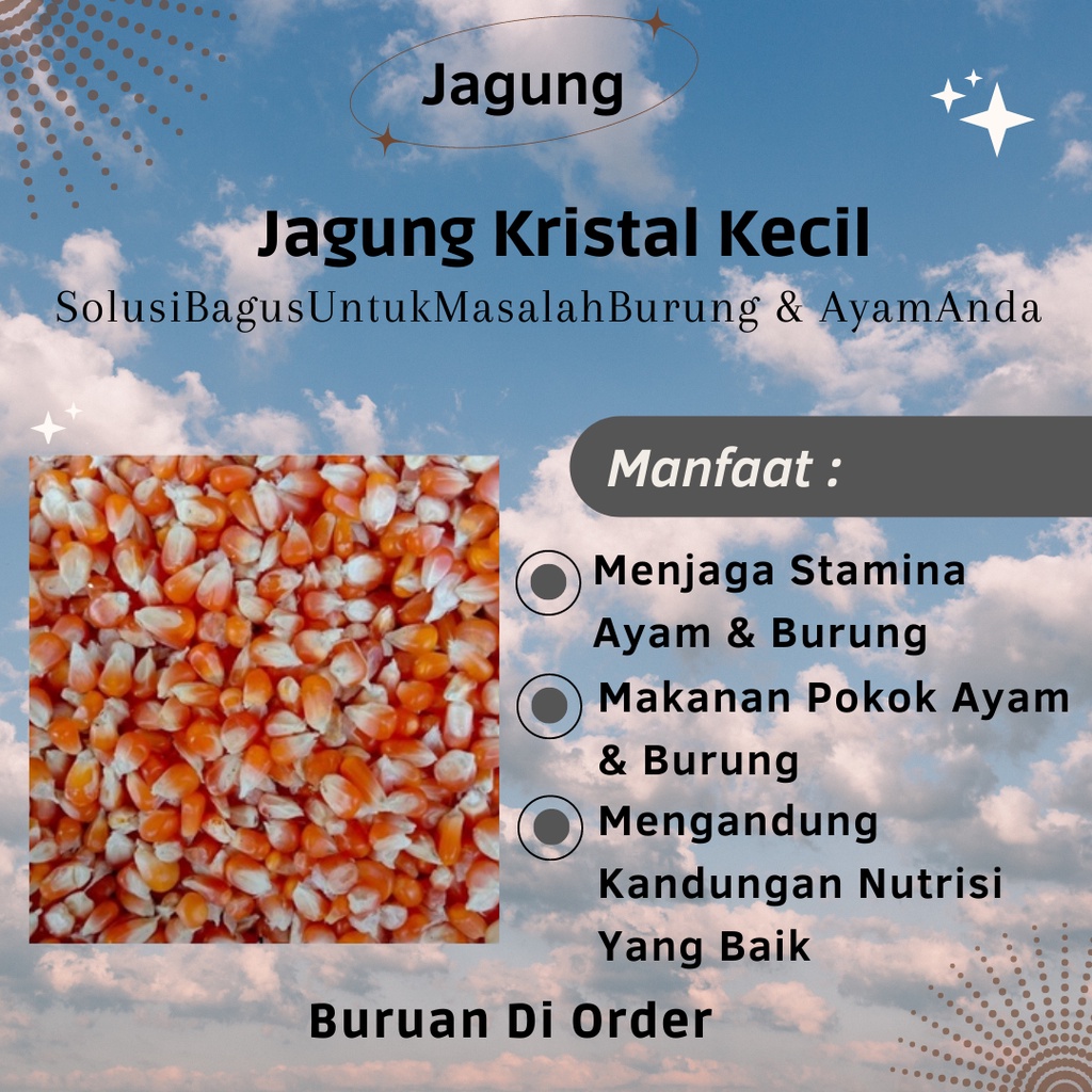 

Jagung Kristal Kecil / Pakan Burung / Pakan Ayam / Makanan Harian Merpati