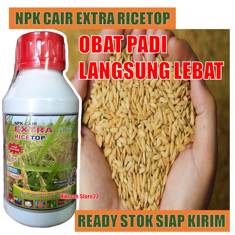 RICE TOP OBAT TIKUS TERBAIK - Rice Top Obat Padi Langsung Lebat - Rice Top Obat Penyubur Dan Perangs