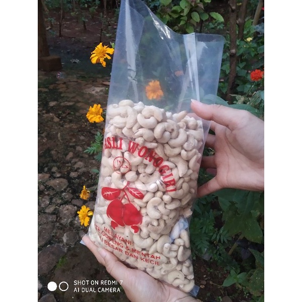 

kacang mede mete kering fresh utuh jumbo COD
