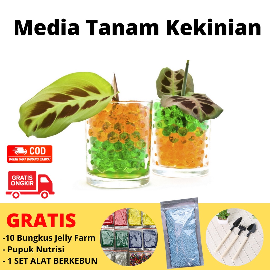 BELI 1 Gratis 1 Hazu Jelly Farm Jelly Media Tanam Tanaman Hias Hidrogel Jeli Tanaman Gratis Pupuk Nu