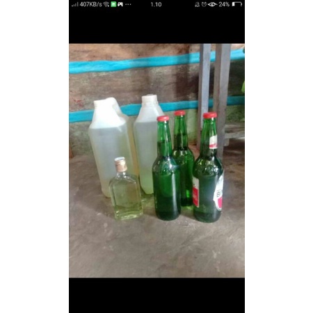 minyak kayu putih asli pulau buru