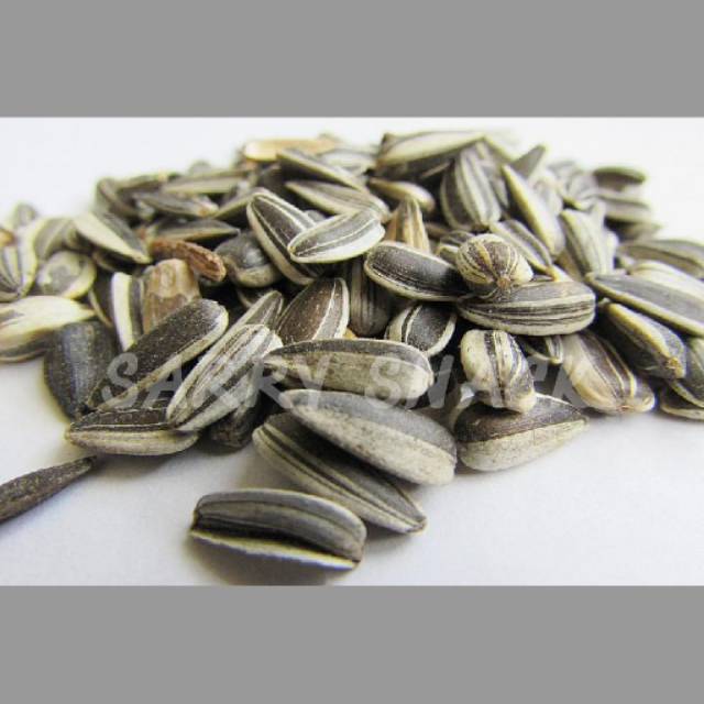 

KWACI MATAHARI 250g-500g