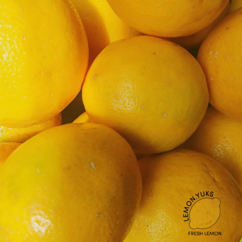 

Lemon,yuks! Lemon California Lokal (1 Kg)