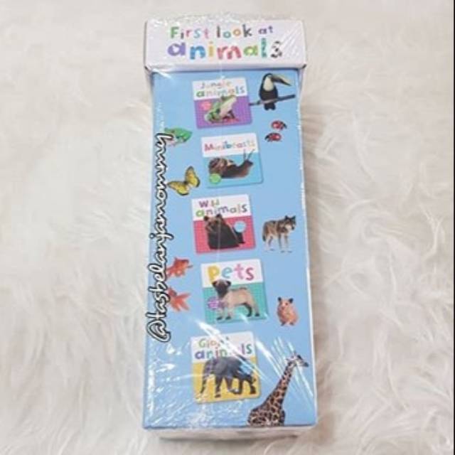 First Look at Animal Books Tower