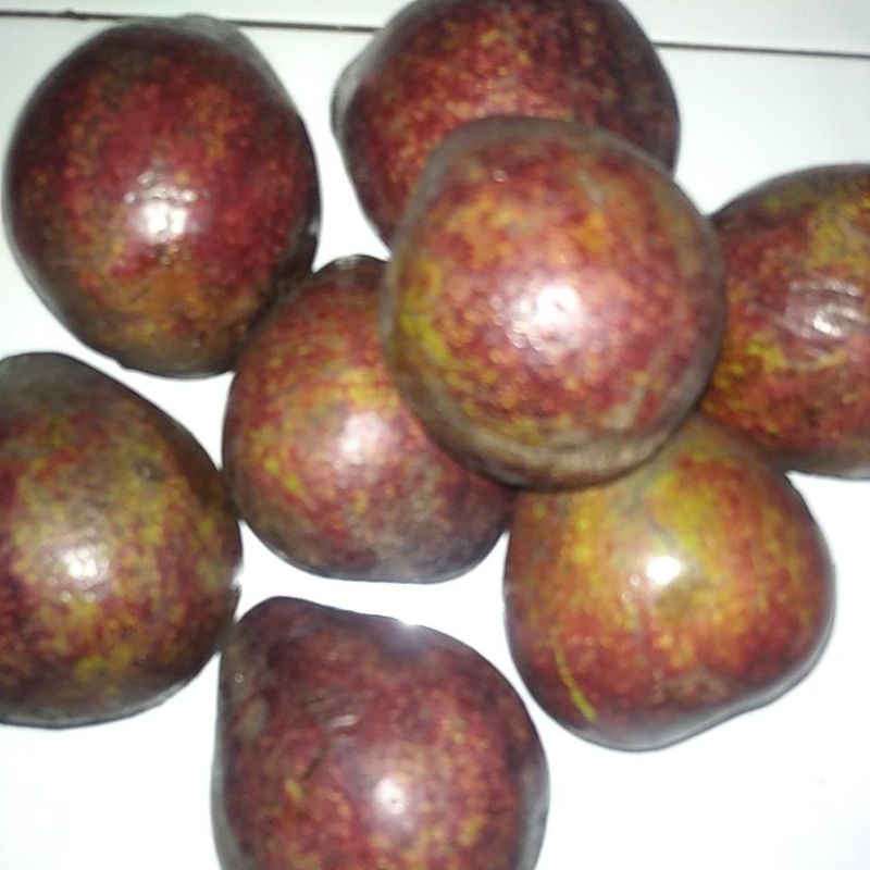 

Buah Apokat / Alpukat / Alpokat segar minim order beli 3kg @