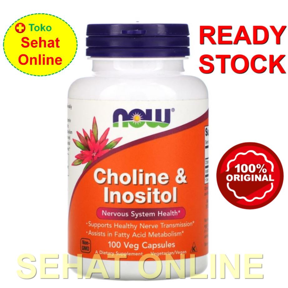 Now Foods Choline &amp; Inositol 100 Vcaps