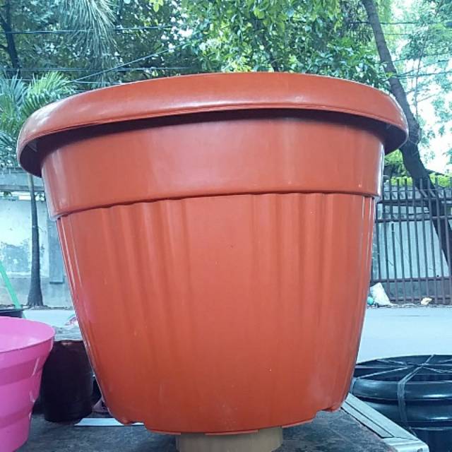 Pot bunga grace 35 warna