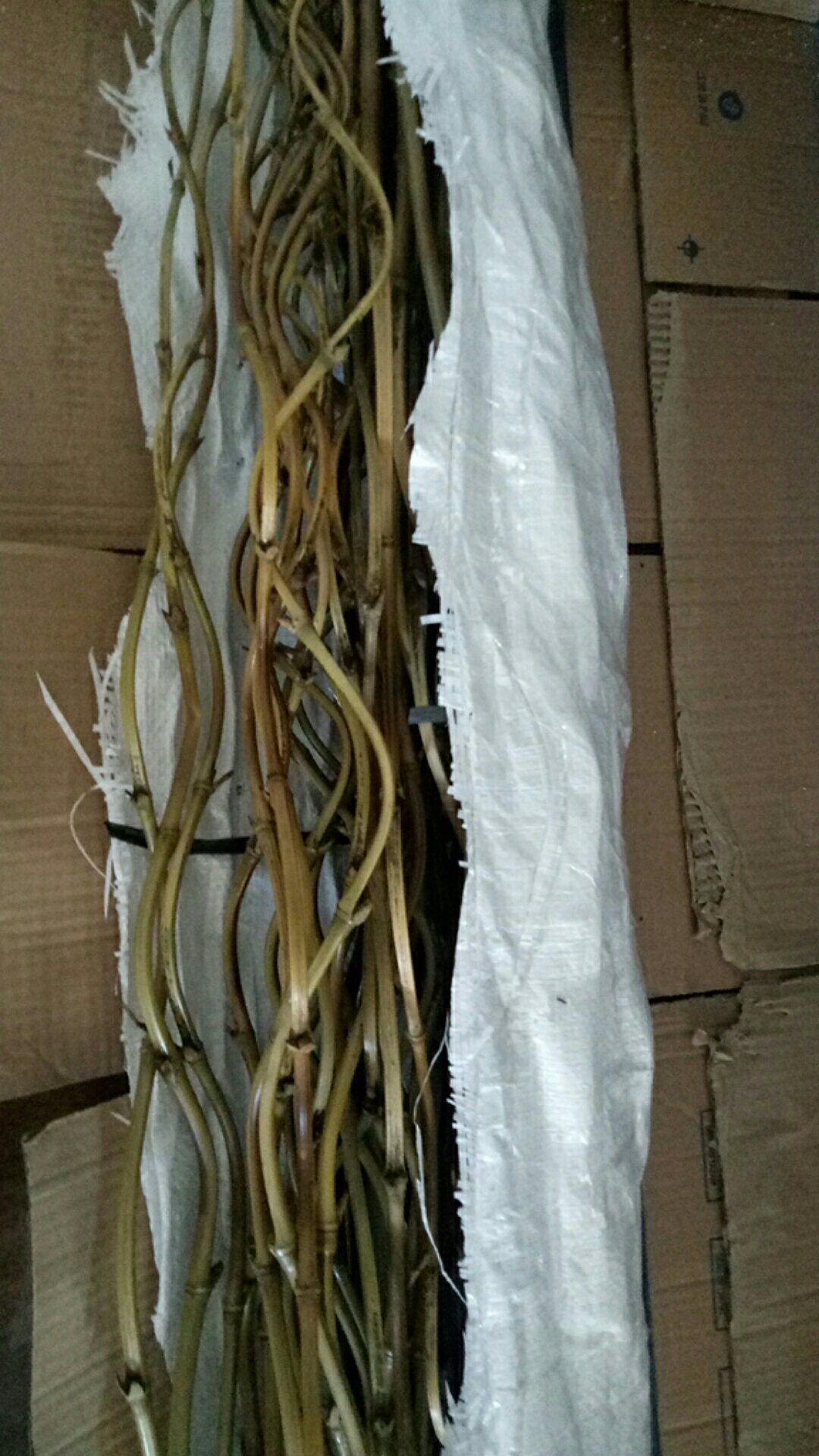 Satu Batang Bambu Ulir Polos Natural (min 15 Btg Bisa Mix Barang Lain)
