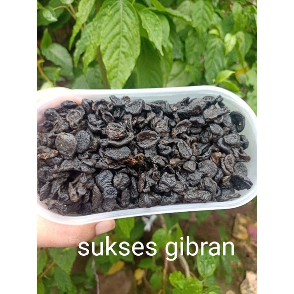 

Empot ayam asli tanpa campuran bentuk utuh 100 gram
