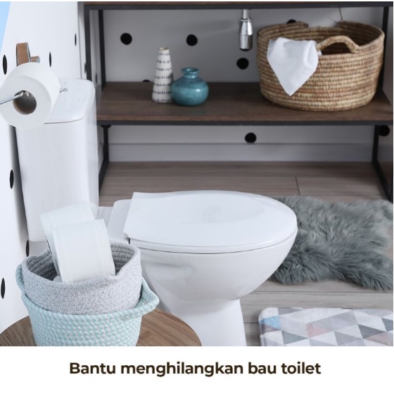 Swallow Deodorizer Deodorant 80 100 gram Kamper Gantung with Net jaring Pengharum Ruangan Anti Bau
