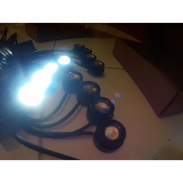 Led Eagle Eye Strobo Warna Ice Blue