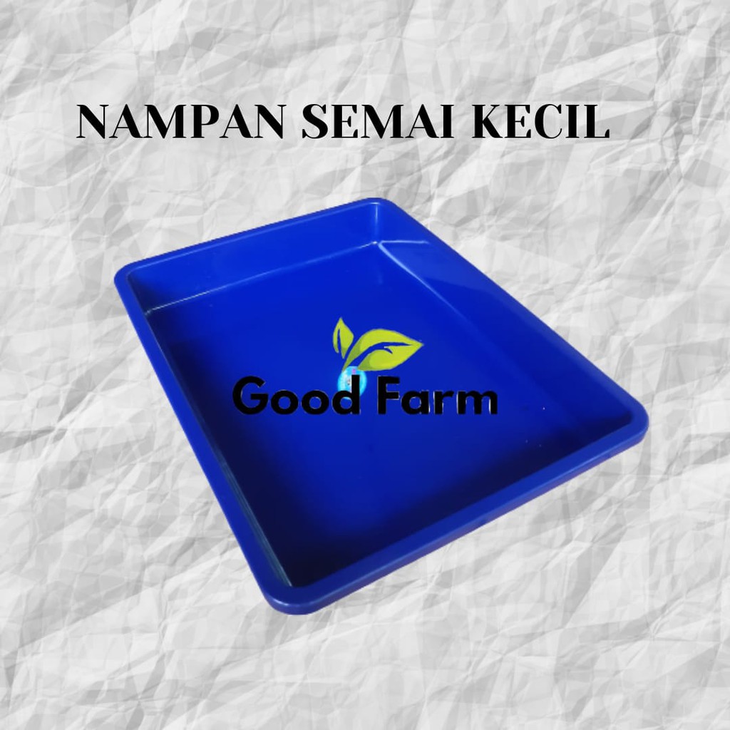 NAMPAN SEMAI UKURAN KECIL // NAMPAN SERBAGUNA