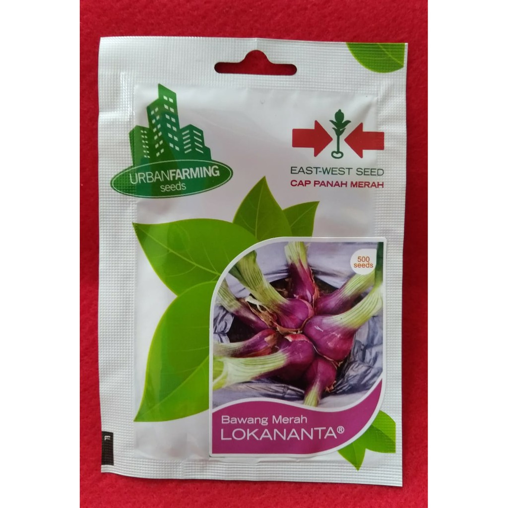 Benih Bawang Merah LOKANANTA