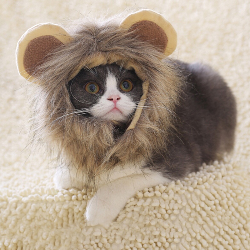 &lt; E2id &amp; &gt; Topi Anjing / Kucing Model Rambut Singa Untuk halloween