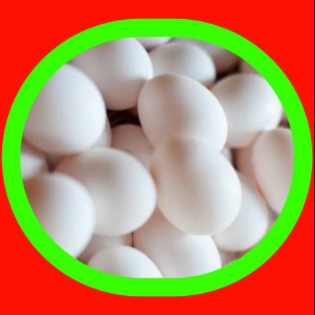 

Telur ayam kampung terlaris 1 butir
