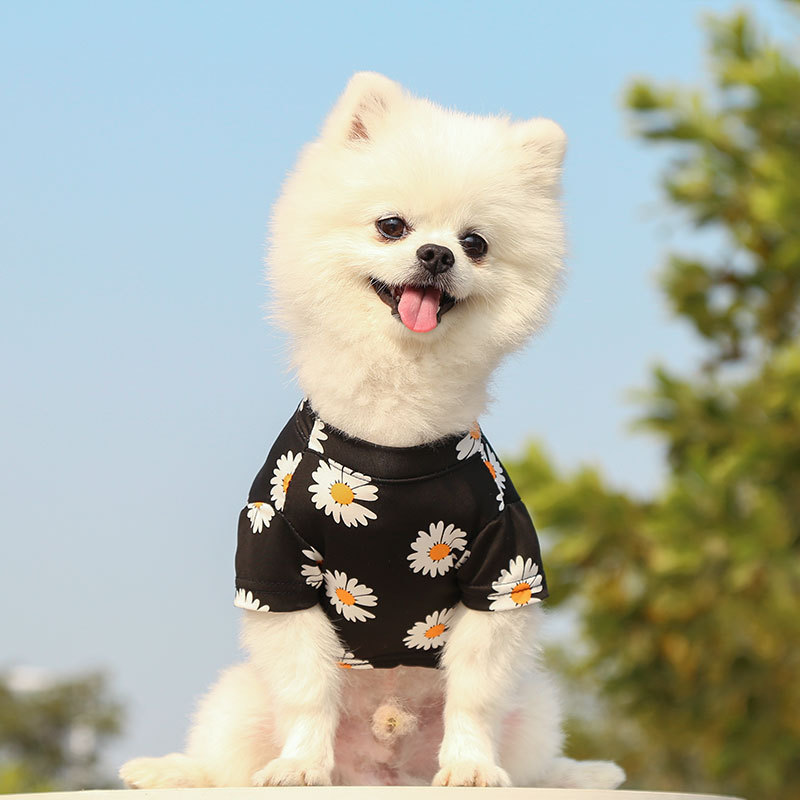 ★〓YUFeiPet〓★Pet Cats Clothes Spring Summer New Travel Daisy Printed Short Sleeve T-shirt Clothes Small Medium Dogs Pet Puppy T Shirt Vest