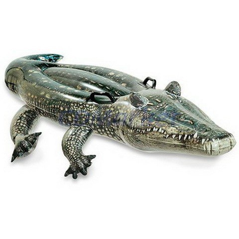 Pelampung Renang Realistic Lil' Gator Ride-On Float -INTEX 57551/ Pelampung buaya