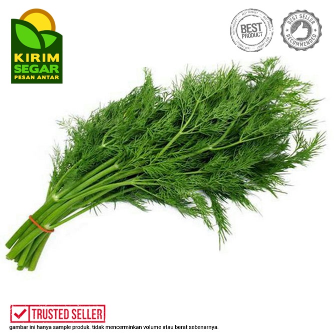 

Daun Dill / Dill Daun / Daun Dill Segar / Dill Fresh / Perikat