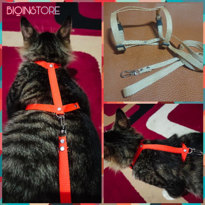 Harnes leash tali tuntun kucing anjing kecil