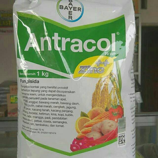 Fungisida Antracol 1KG