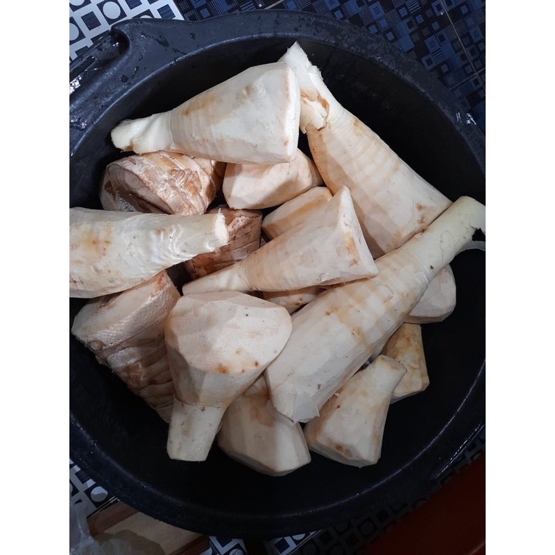 Rebung Bambu iris - Rebung Iris