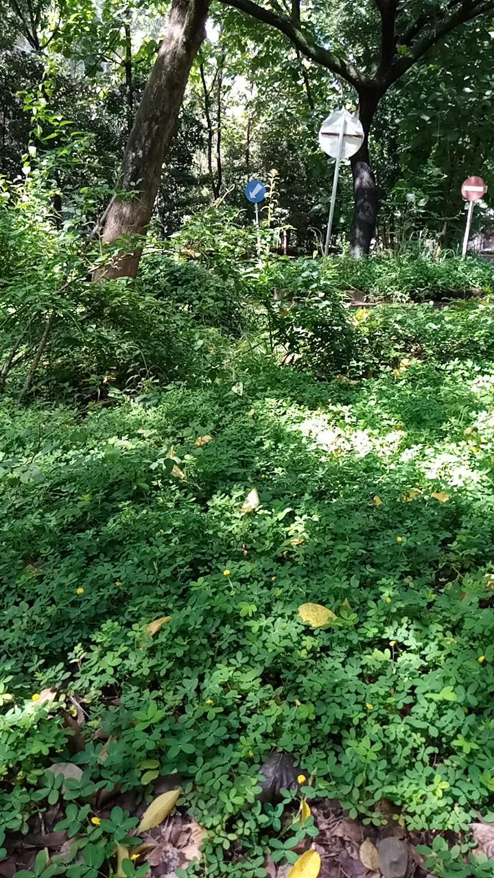 Handuk Matahari I Warna Random