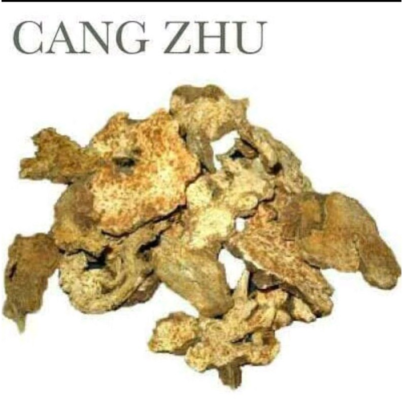 

300 G GR GRAM 苍术 CANG ZHU SHU ATRACTYLODES