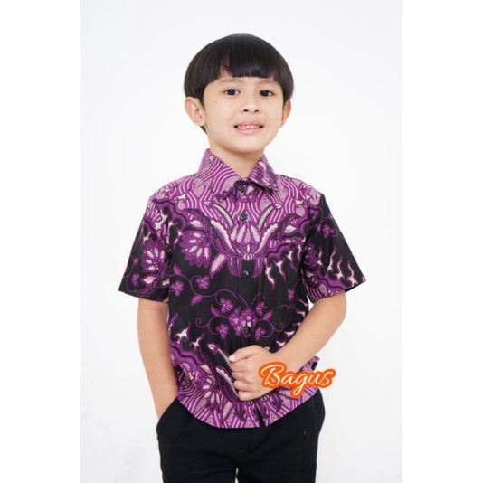 Kemeja Batik Anak - batik anak - baju batik anak laki laki umur 2-10 tahun hem batik anak pendek