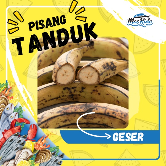 

Pisang Tanduk Jumbo 160Gr - 330Gr / Matang Pohon Per Buah