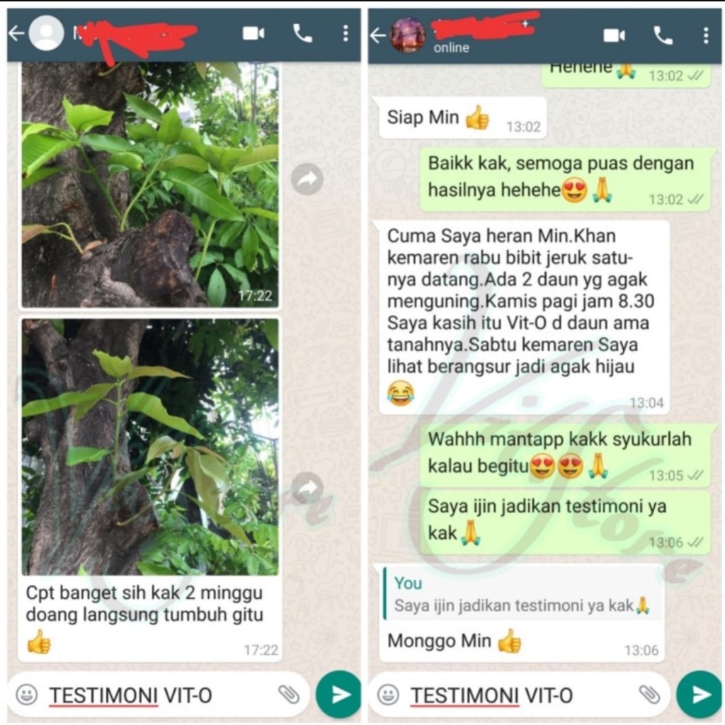 Vitamin Tanaman Super Vit-O Nutrisi Sahabat Segala Tanaman 45ml