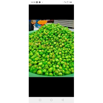 

kacang arcis