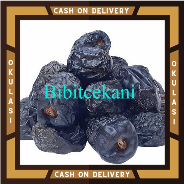 Bibit Buah kurma ajwa Okulasi Cepat Berbuah