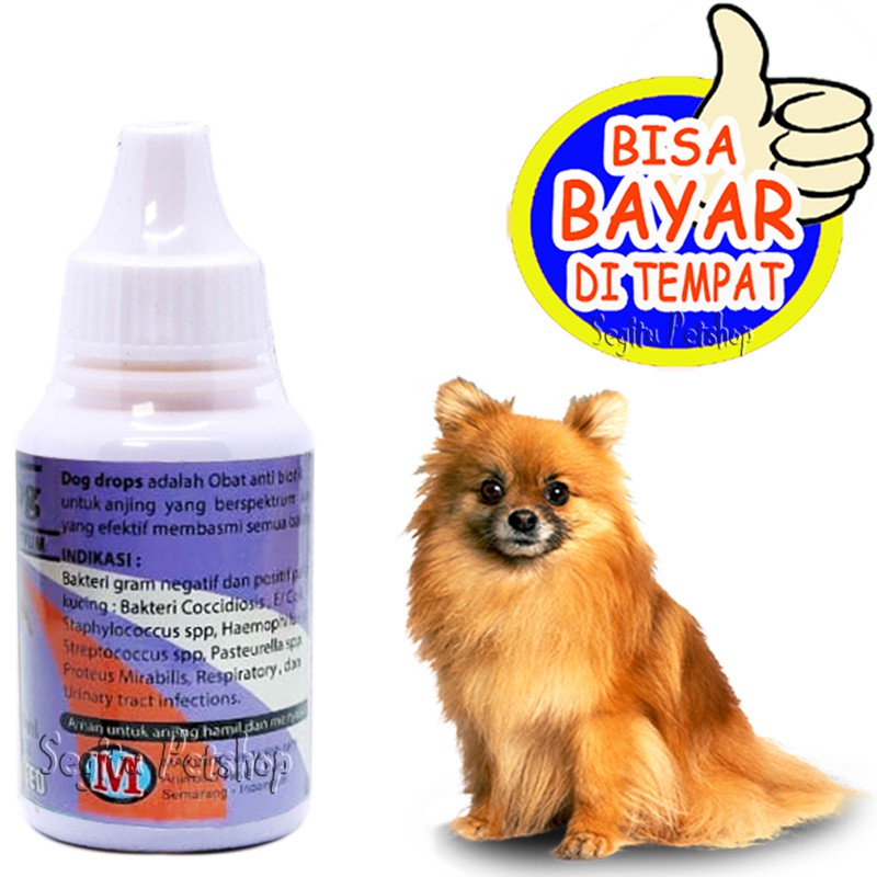 ANTIBIOTIK ANJING OBAT PUPPY SAKIT DEMAN PILEK DIARE DROP DOG