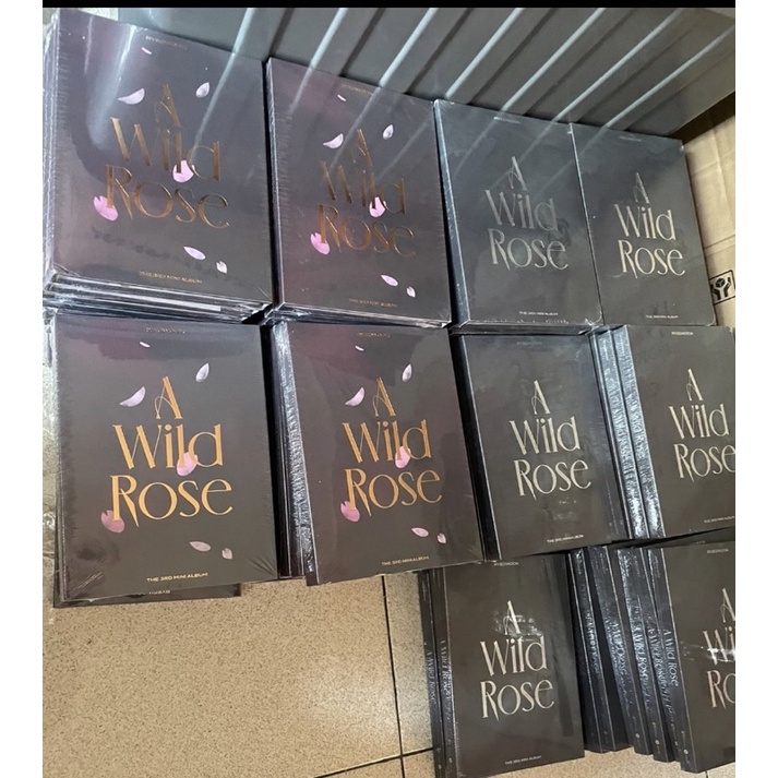 Ryeowook Album The Wild rose