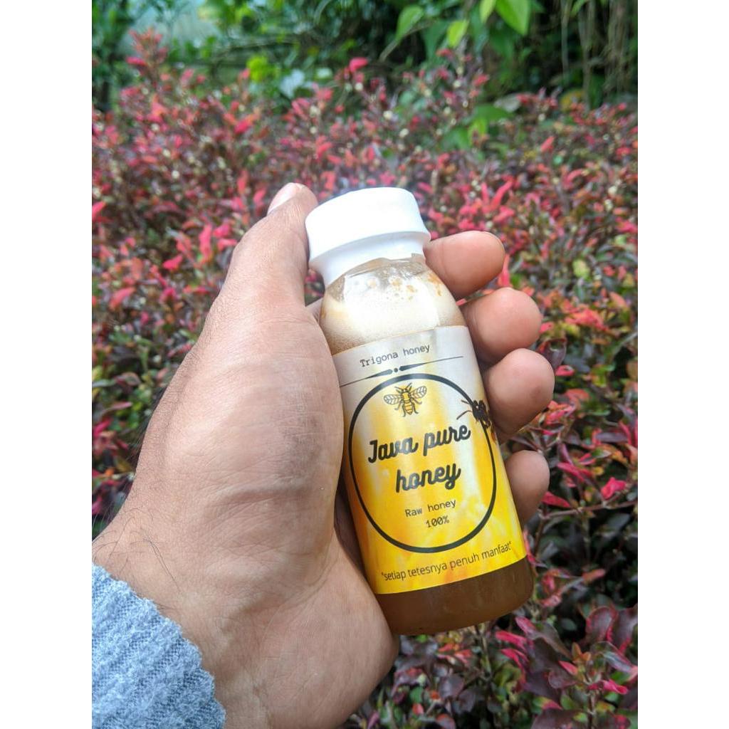 

Madu Klanceng Mauni | Mengobati Stroke | Mengurangi Racun Dalam Tubuh | FREE Bubble Wrap
