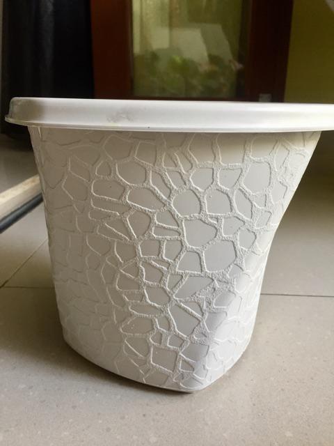 Pot Bunga Tanaman Twistter Putih 20cm