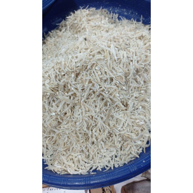 

TERI MEDAN