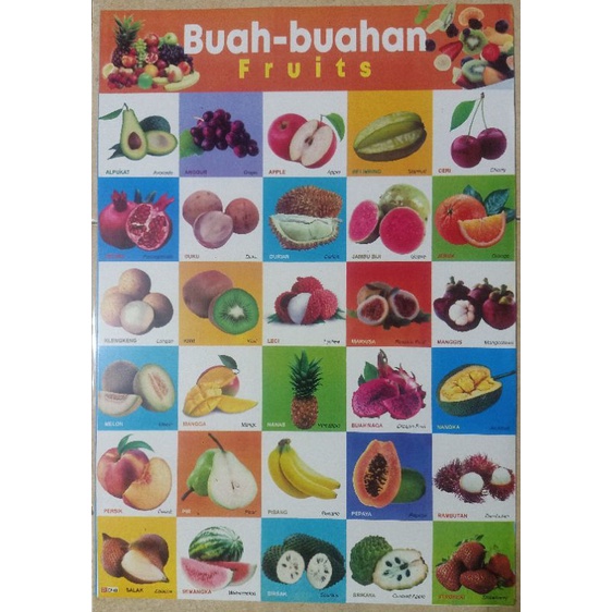 poster  edukasi anak mengenal sayuran dan buah  (bahasa Indonesia,Inggris, Arab)
