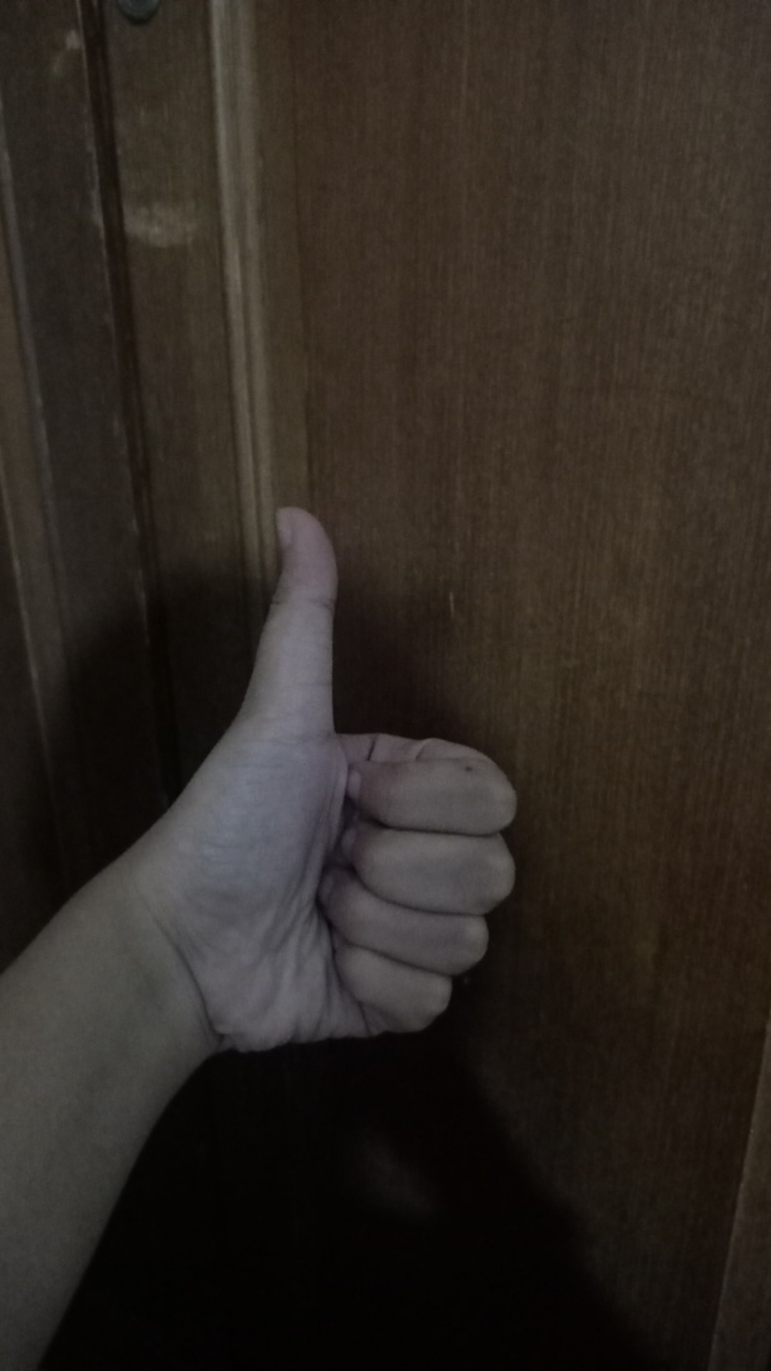 Pisau Acar Stainless / Pisau Kentang / Pisau Timun / Pisau Wortel / Pisau Serbaguna Murah