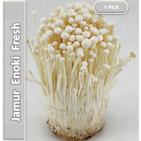 

Jamur Enoki Fresh - Import | 100gr [ Harga Per PCS ]