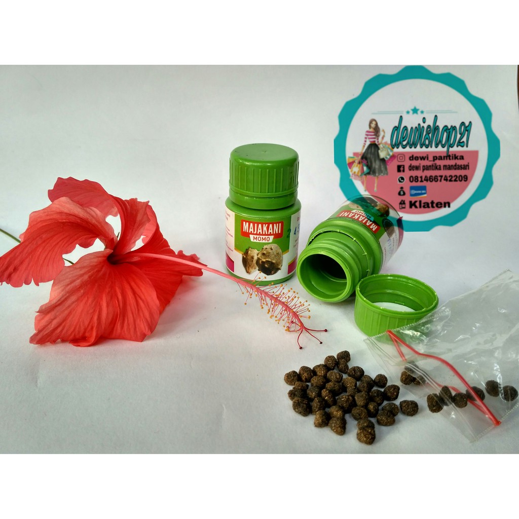 TERMURAH DAN BERHADIAH ECER MAJAKANI MOMO ISI 35BUTIR DIJAMIN ORIGINAL