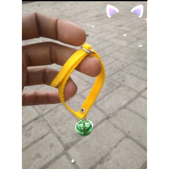Kalung kucing lonceng