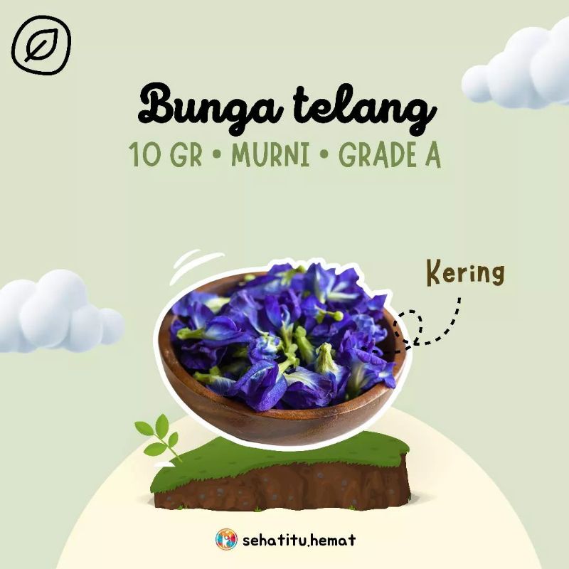 

Bunga Telang Biru Obat Alami Mata dan Anxiety 10gr Minuman Rempah JSR