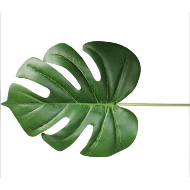 Daun monstera artificial tebal tinggi Shopee Indonesia