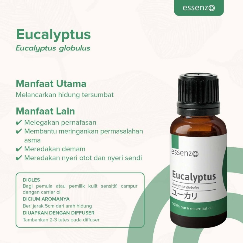 essenzo eucalyptus oil