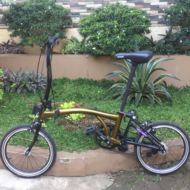 element pikes 3 speed limited edition gold Gold