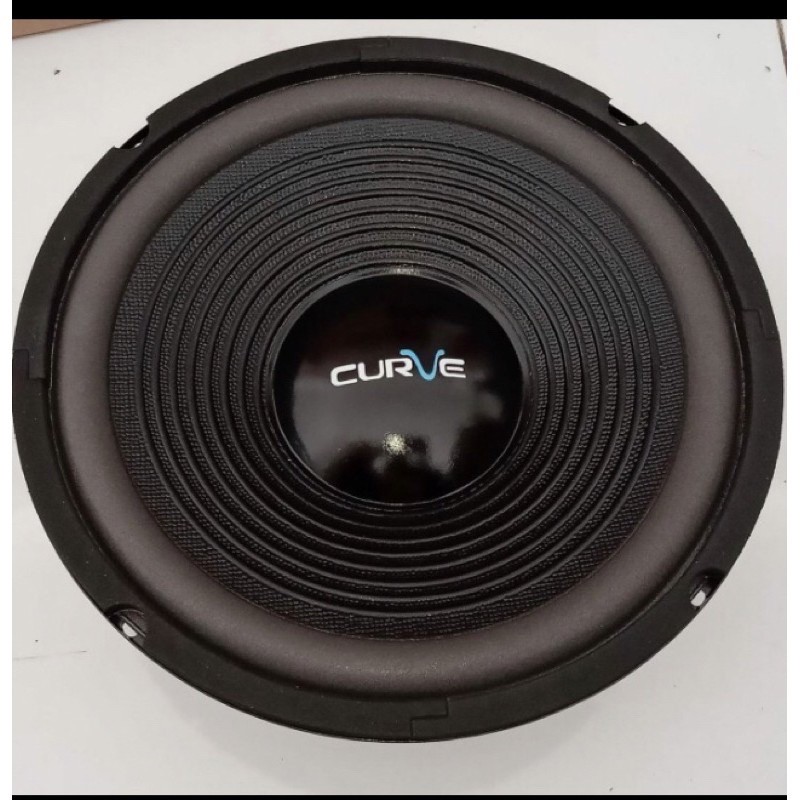 Speaker Woofer 10 Inch Curve 300 Watt Canon ACR Salon Bass