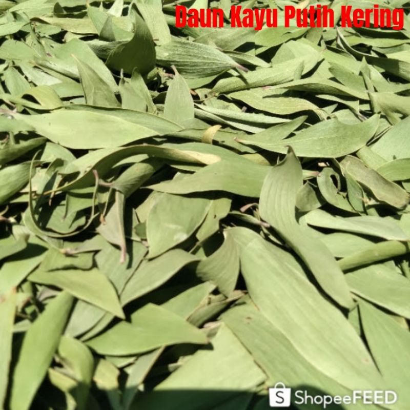 

Daun Herbal Kayu Putih Kering 1kg