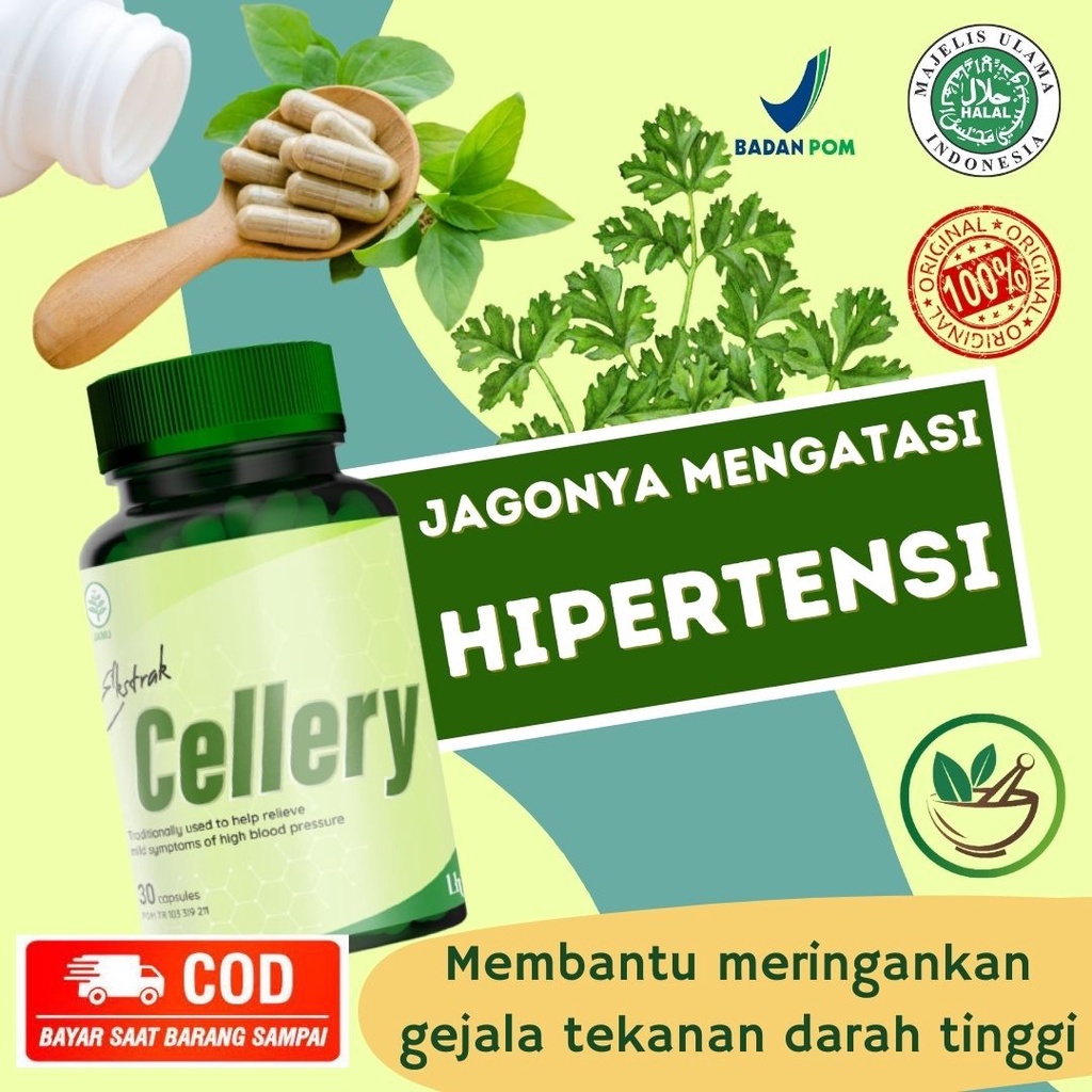 Obat Darah Tinggi  Hipertensi Herbal E-CELLERY Original 100% BPOM Halal