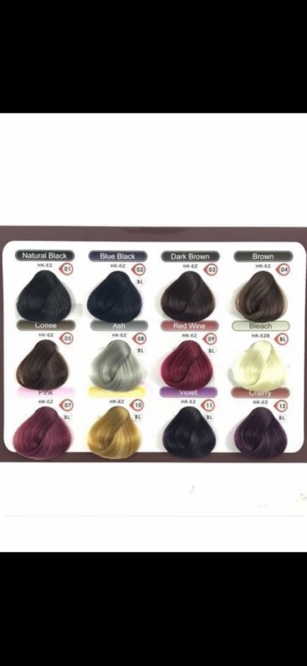 DIOSYS Permanent Hair color EE-ZY 100ml Cat Rambut Permanen